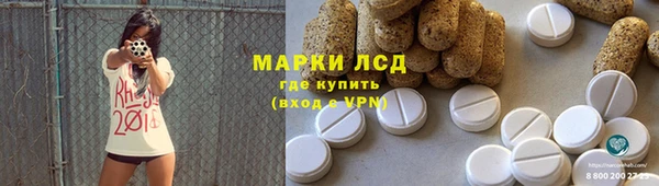 spice Аркадак