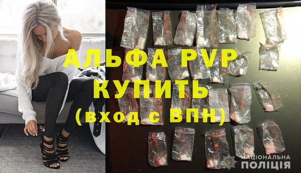 гидра Новодвинск