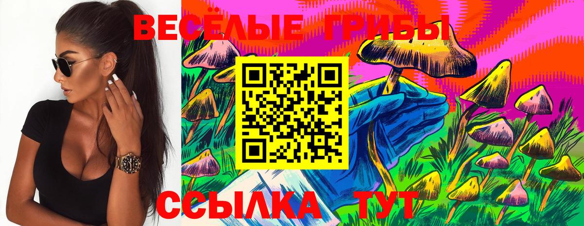Псилоцибиновые грибы MAGIC MUSHROOMS Коломна